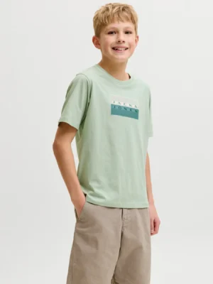 CAMISETA BASICA JCOFUSION